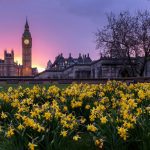 Car Accidents Abroad Needn’t Drive You Around the Bend with Injury Claims